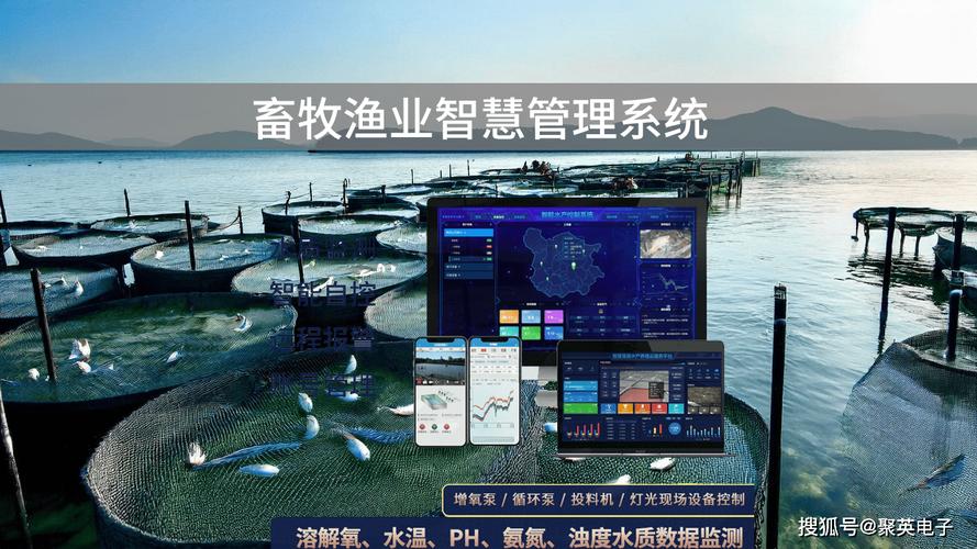 畜牧渔业智慧管理系统,推动水产养殖转型升级