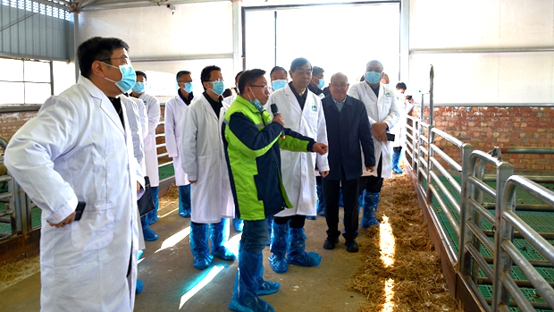 &ldquo;肉羊高产高效技术集成与优质高效肉羊新品种培育&rdquo;现场观摩会在甘肃环县召开