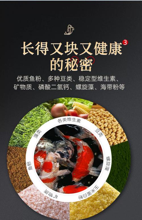 观赏鱼金鱼饲料高螺旋藻增色鱼粮锦鲤鱼不浑水鱼食小型鱼通用型